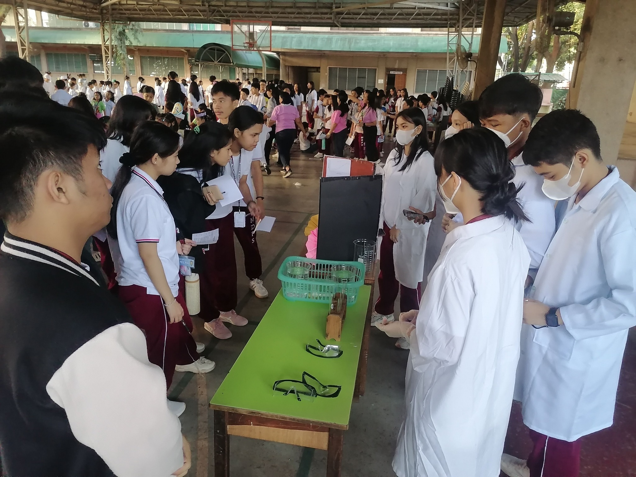 Synodality_2024