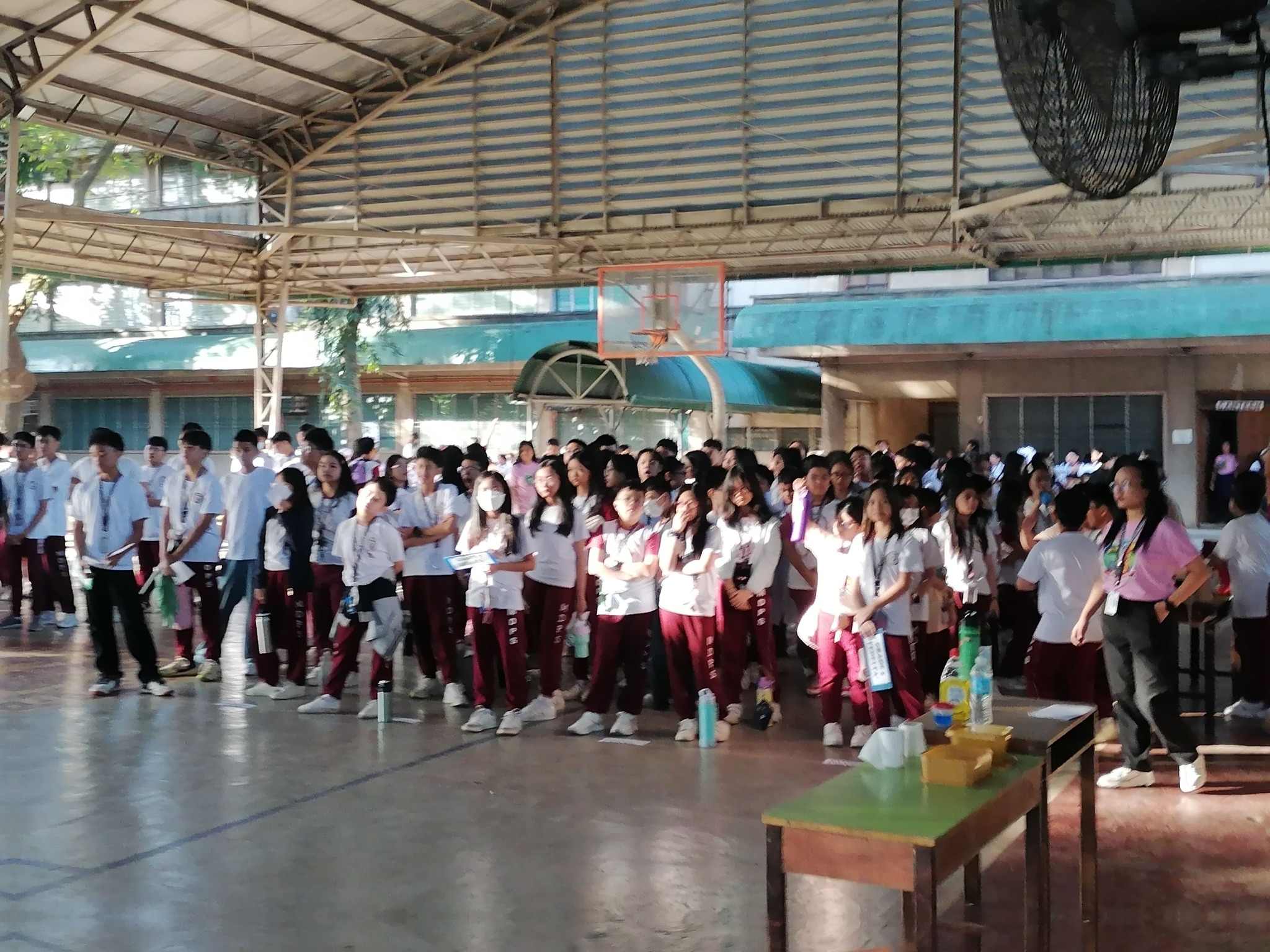 Synodality_2024